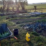 Acker © Gemüsebau Lydia Täschner