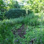 Garten © Saatgut- und Permakulturgarten Alt-Rosenthal