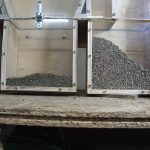 Saatgut © Keimzelle